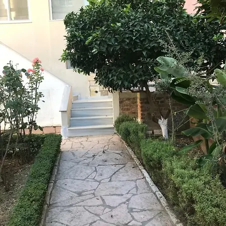 Pandora Sarande
