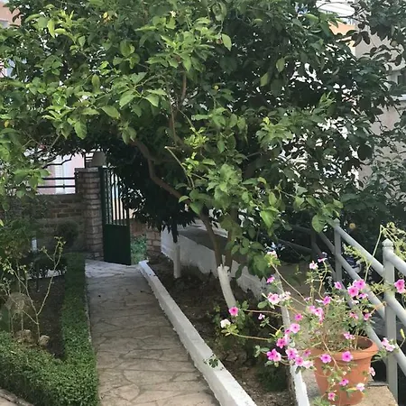 Pandora Apartment